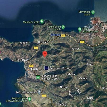 Apartma Ester Lucija Bagian luar foto